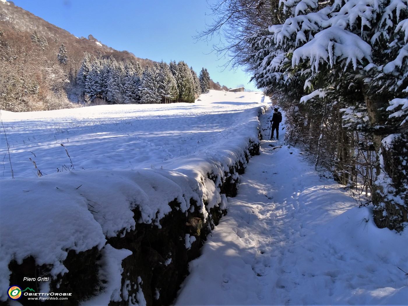 10 E in breve tempo, attraversato il bosco, siamo alla Stalle Aral (1000 m.).JPG